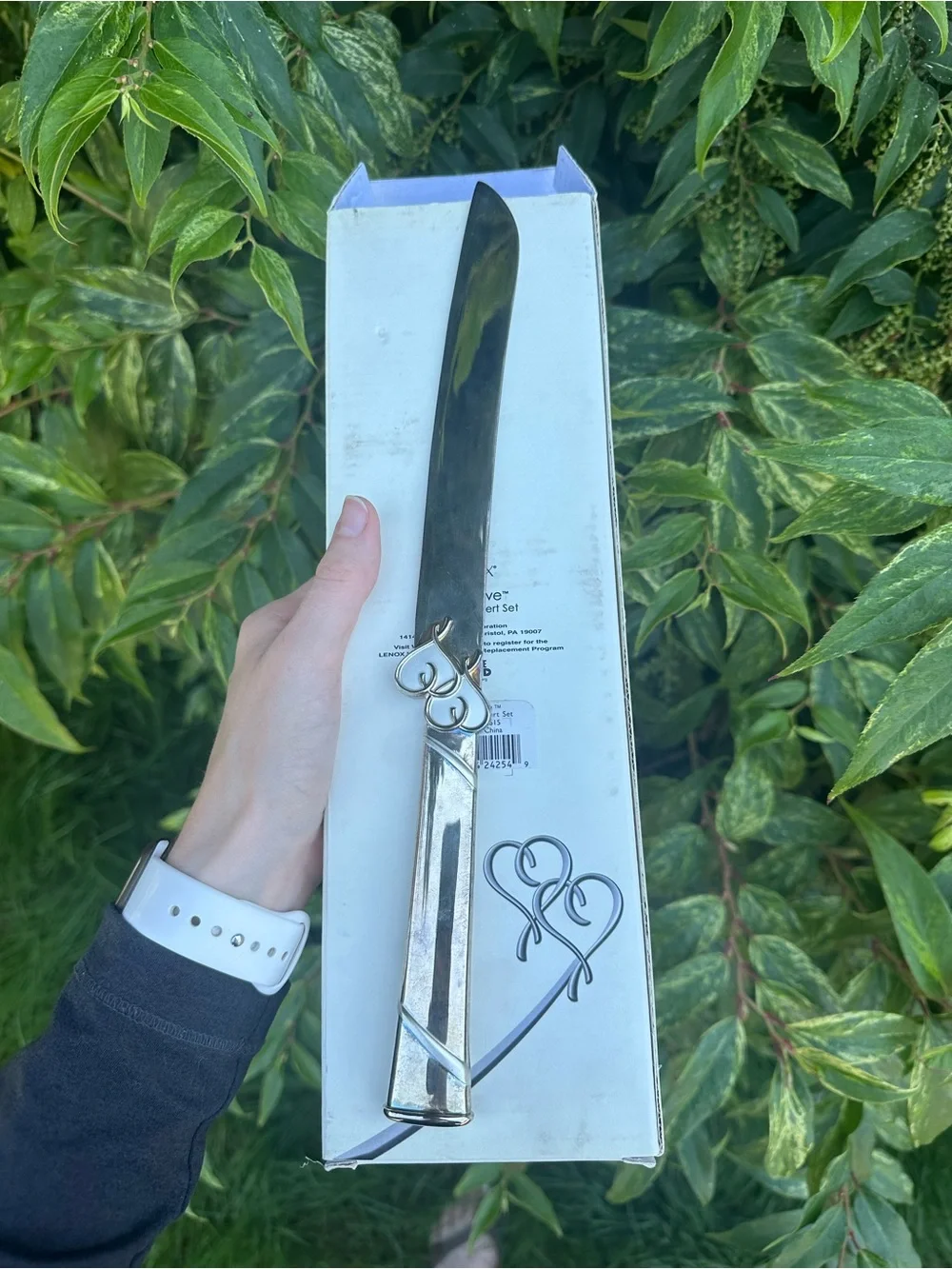 Lenox True Love 2 Piece Silver Plated Knife & Server Set Wedding Marriage Cake